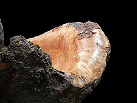 Eruption