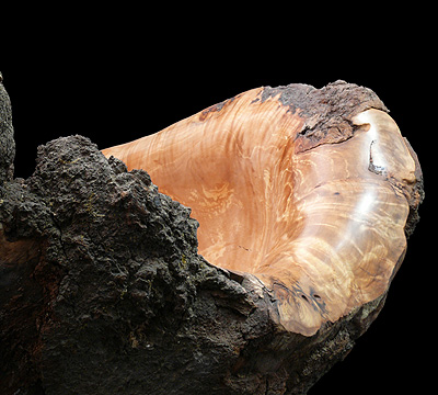 Eruption